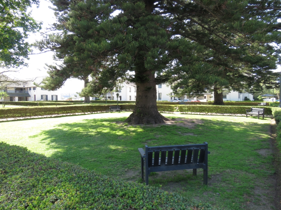 Commercial Property for Sale in Paardevlei Western Cape